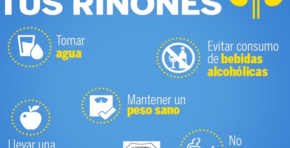 Riñones