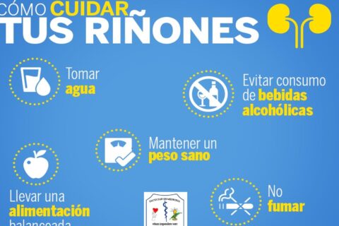 Riñones