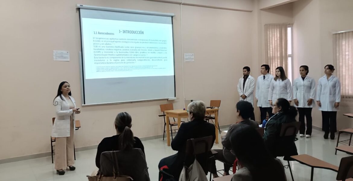 WhatsApp Image 2024-06-03 at 09.48.11