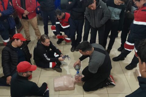 WhatsApp Image 2024-08-28 at 08.06.13