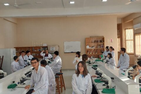 WhatsApp Image 2025-03-28 at 10.59.26