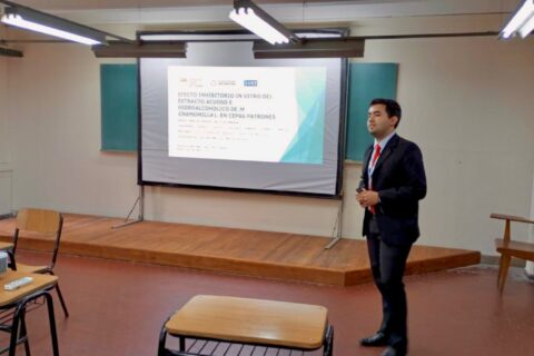 Imagen de WhatsApp 2025-11-07 a las 09.21.23_95b74052