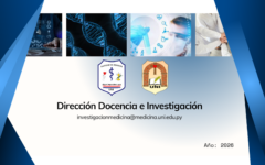 Captura de pantalla 2026-03-05 184128